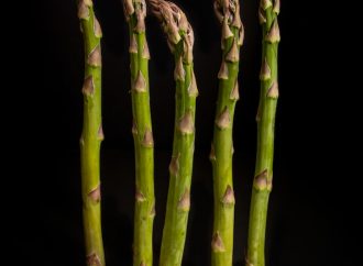 Savor the Flavors of Asparagus Season with These Recipes