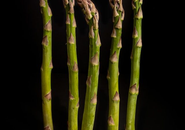 Savor the Flavors of Asparagus Season with These Recipes