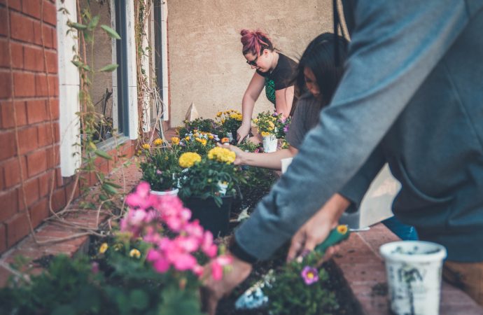 Unlock the Art of Indoor Gardening: Expert Tips for Flourishing Houseplants