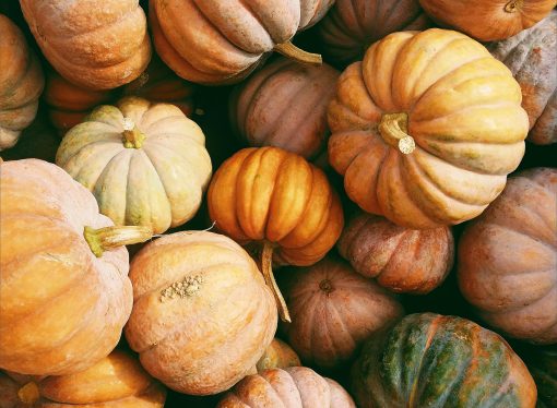 The Seasonal Table: Celebrating Nature’s Bounty in Fresh and Seasonal Foods