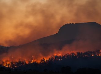 Study Links Australia’s Wildfires to La Niña and US Weather Shifts