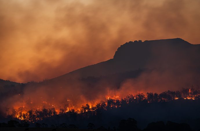 Study Links Australia’s Wildfires to La Niña and US Weather Shifts