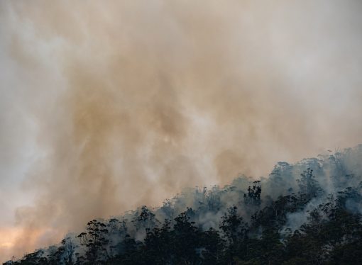 Australia’s Wildfires and La Niña: A Study on the Impact on US Weather