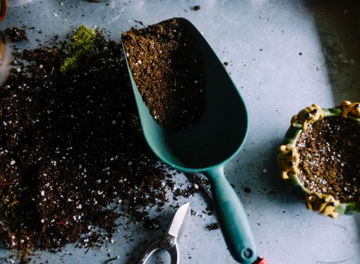 Why Compost is a Gardener’s Best Friend and How to Get Started