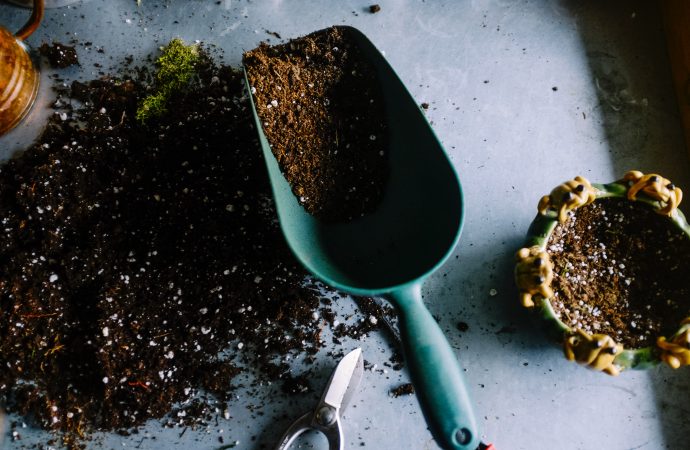 Why Compost is a Gardener’s Best Friend and How to Get Started