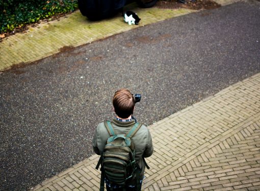 When ‘the Kitten Lady’ Met ‘the Cat Photographer’