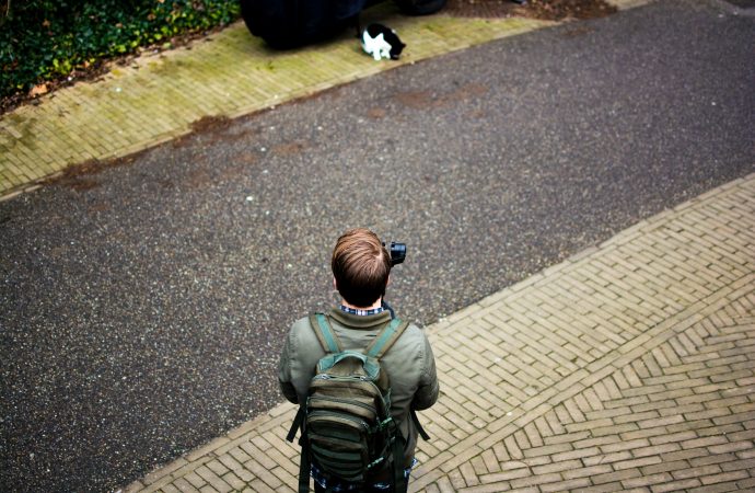 When ‘the Kitten Lady’ Met ‘the Cat Photographer’