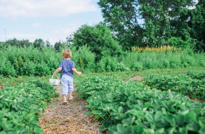 Breaking Ground on No-Dig Gardening: Transform Your Yard Today