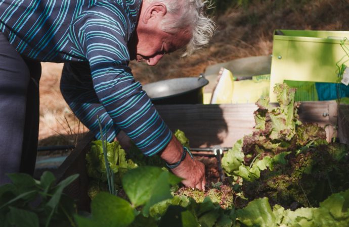 Revolutionize Your Outdoor Space with a Modern Garden Makeover