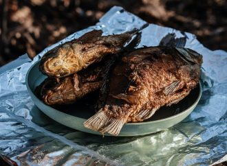 The Best Fried Catfish in America: From Southern Comfort to Cajun Style