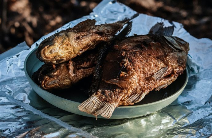 The Best Fried Catfish in America: From Southern Comfort to Cajun Style