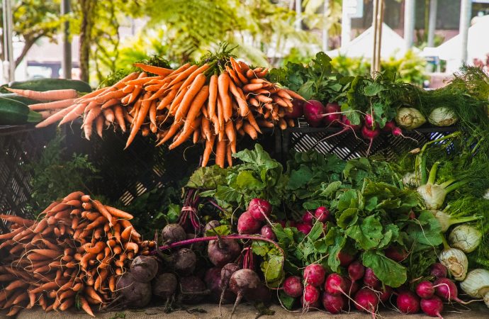 Cultivating Beauty: Unveiling a Gardener’s Journey from Seed to Splendor