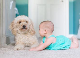 Why Owning a Dog May Be Good for Your Child’s Health