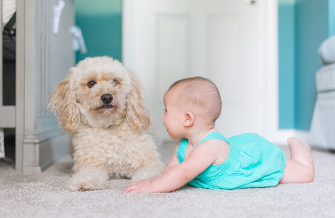 Why Owning a Dog May Be Good for Your Child’s Health