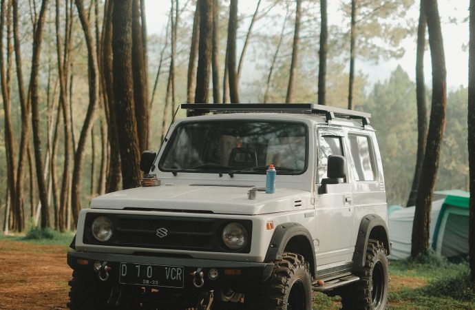 June Delights: Maruti Jimny and Honda Elevate SUVs to Hit Indian Market with a Bang