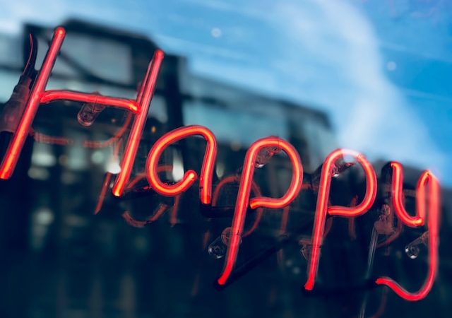 Why Happiness Alone is Not Enough