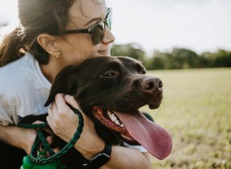 A Tail of Reunion: Dog Reunites with Family After Two Years