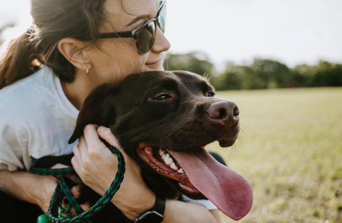 A Tail of Reunion: Dog Reunites with Family After Two Years