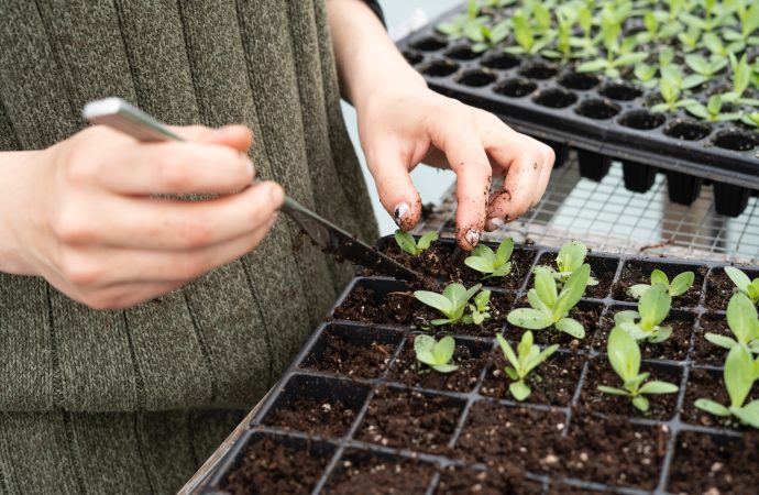 Exploring Different Types of Mulch and Their Benefits for Your Garden