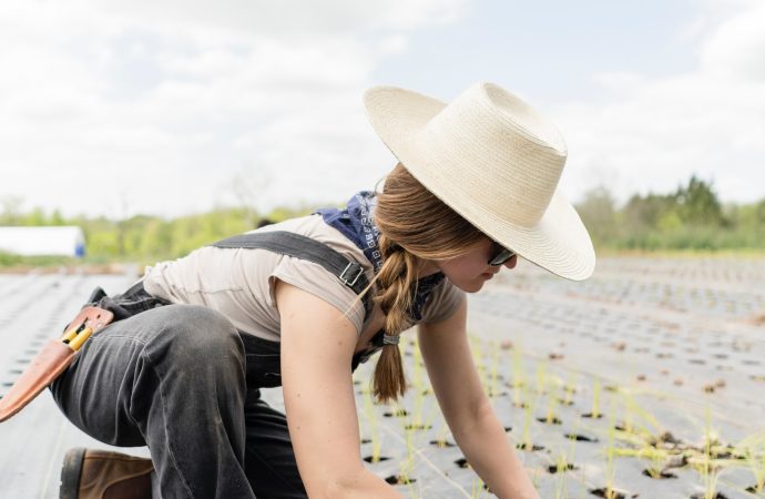 The Importance of Butterflies in Your Garden Ecosystem