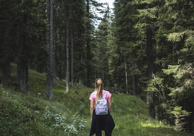 Exploring New Horizons by Foot The Freedom and Empowerment of Solo Travel