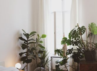 Natural Sleep Aids: The Best Plants to Help You Get a Good Night’s Rest