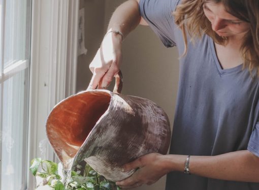5 Reasons Why Gardening is the Ultimate Stress Reliever