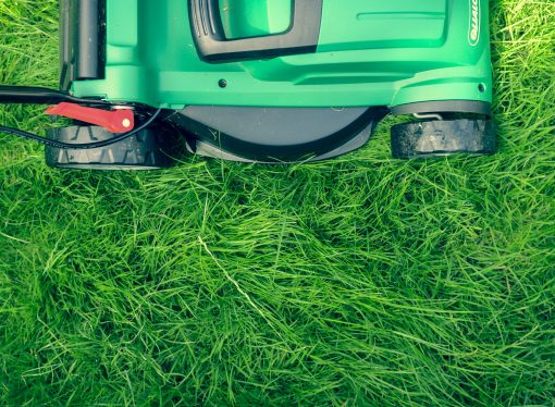 Bridging the Digital Divide in Agriculture: Strategies for Adopting New Technologies