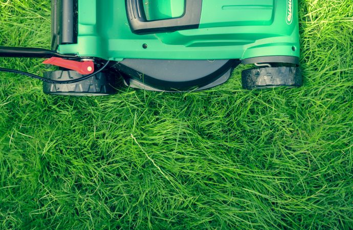 Bridging the Digital Divide in Agriculture: Strategies for Adopting New Technologies