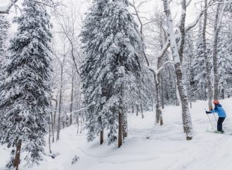 Unique Ways to Explore the Great Outdoors this Winter