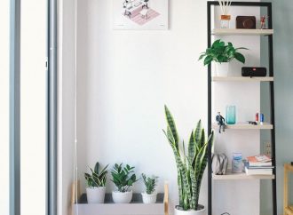 The Ultimate Guide to Making a Beautiful Terrarium from Scratch