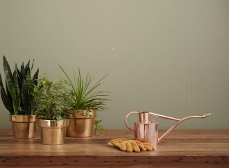 Growing a Mindful Garden: Using Plants as Tools for Meditation and Self-Reflection