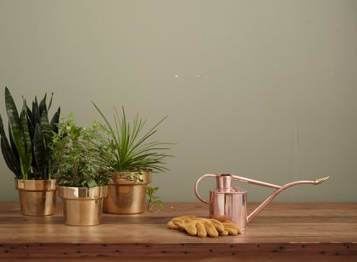 Growing a Mindful Garden: Using Plants as Tools for Meditation and Self-Reflection