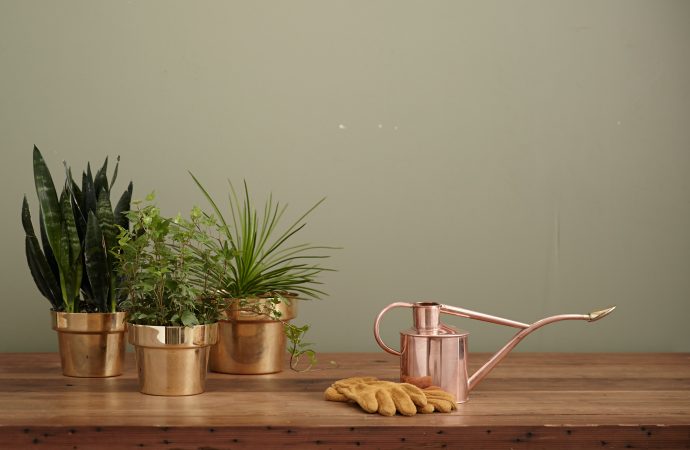 Growing a Mindful Garden: Using Plants as Tools for Meditation and Self-Reflection