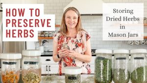 Preserve Herbs with Drying, Freezing, and Storing