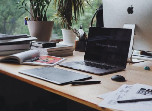 Succulents, Air Plants, and More: The Best Trending Plants for Your Office Desk