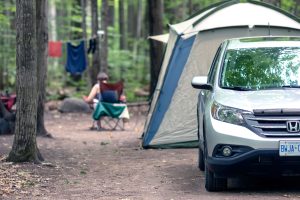 The image of Honda ZR-V running on forest.