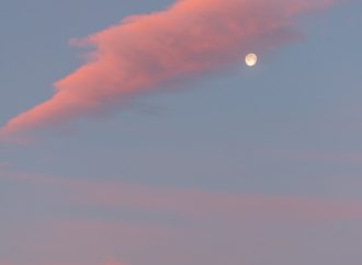 Lessons Learned from Rocket Lab’s Postponed Mission to Explore Venus