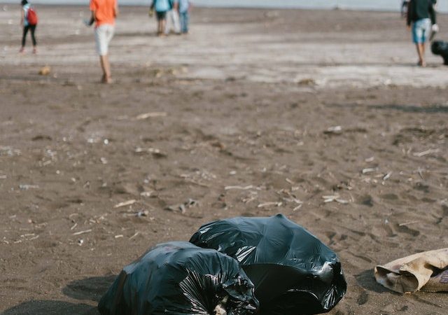 Going Green: Our Journey Towards a Plastic Bag-Free Town