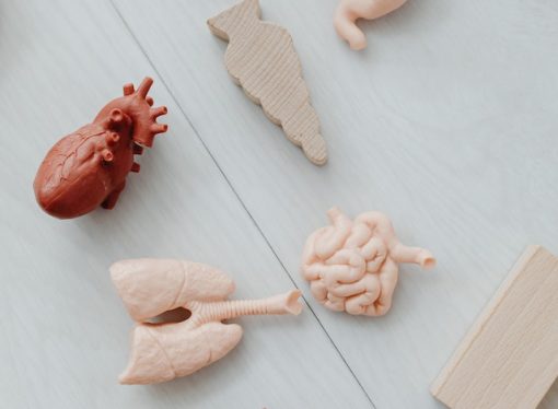 A Personal Story of the Life-Saving Impact of Organ Donation