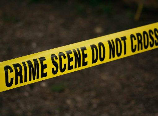 Fame a mixed blessing for Murdaugh trial crime scene forensics expert