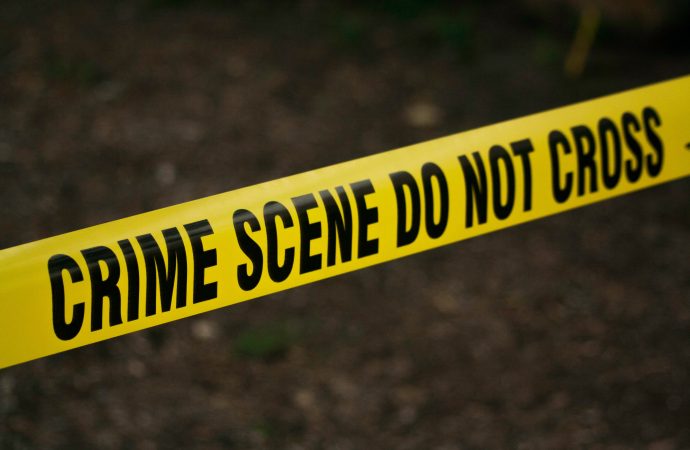 Fame a mixed blessing for Murdaugh trial crime scene forensics expert