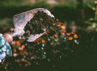 Why We Need to Focus on Soil Health and Microbial Diversity