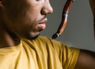 Rewriting Your Story: How to Re-Train Your Brain and Beat a Snake Phobia