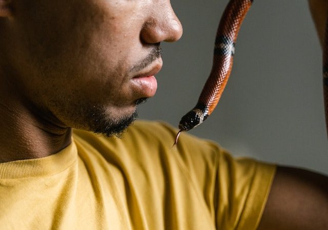 Rewriting Your Story: How to Re-Train Your Brain and Beat a Snake Phobia