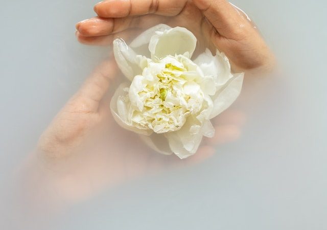 The Ultimate Guide to Skincare for Those with Oily Skin Types