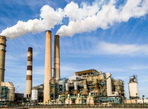 From Pollutants to Wildlife: The Versatility of Environmental Sensors