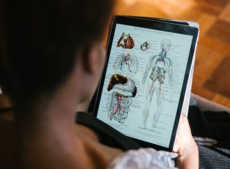 Discover the Best Ways to Learn Human Anatomy Without a Classroom