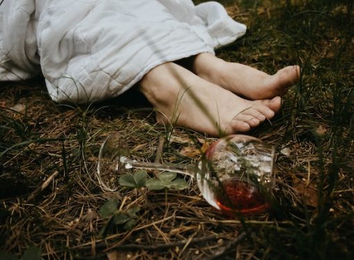 Bunion Formation: Dispelling Myths and Revealing Facts