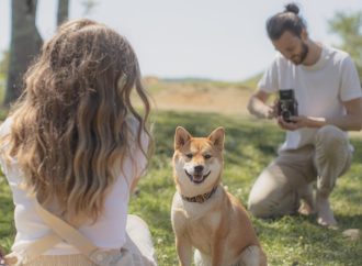 Raw vs Cooked: Which Type of Dog Food is Best for Your Pet?